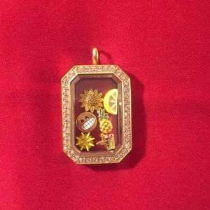 Summer Origami Owl hinge locket with 6 charms